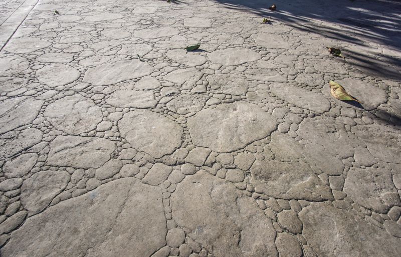 Decorative Concrete Repair in Rockwall, TX