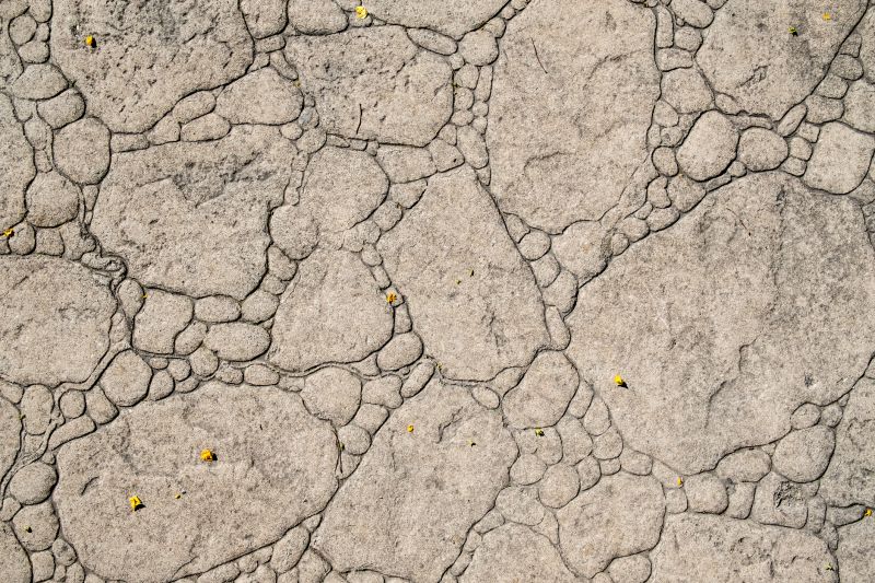 Decorative Concrete Repair in Davis County, UT